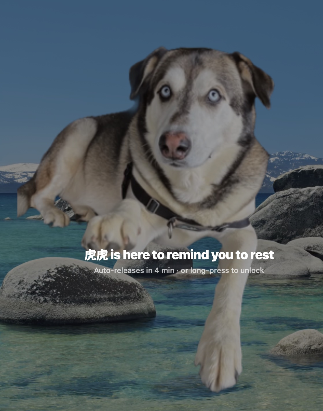 MewMew interrupt overlay — a husky teleports to the screen center to remind you to rest